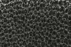 Cell Lab porous graphene foam (50 × 50 × 1.2 mm) – CVD-fabricated ultra-light 3D graphene substrate for batteries, supercapacitors and sensors. High conductivity, low density, and nickel-supported durability.