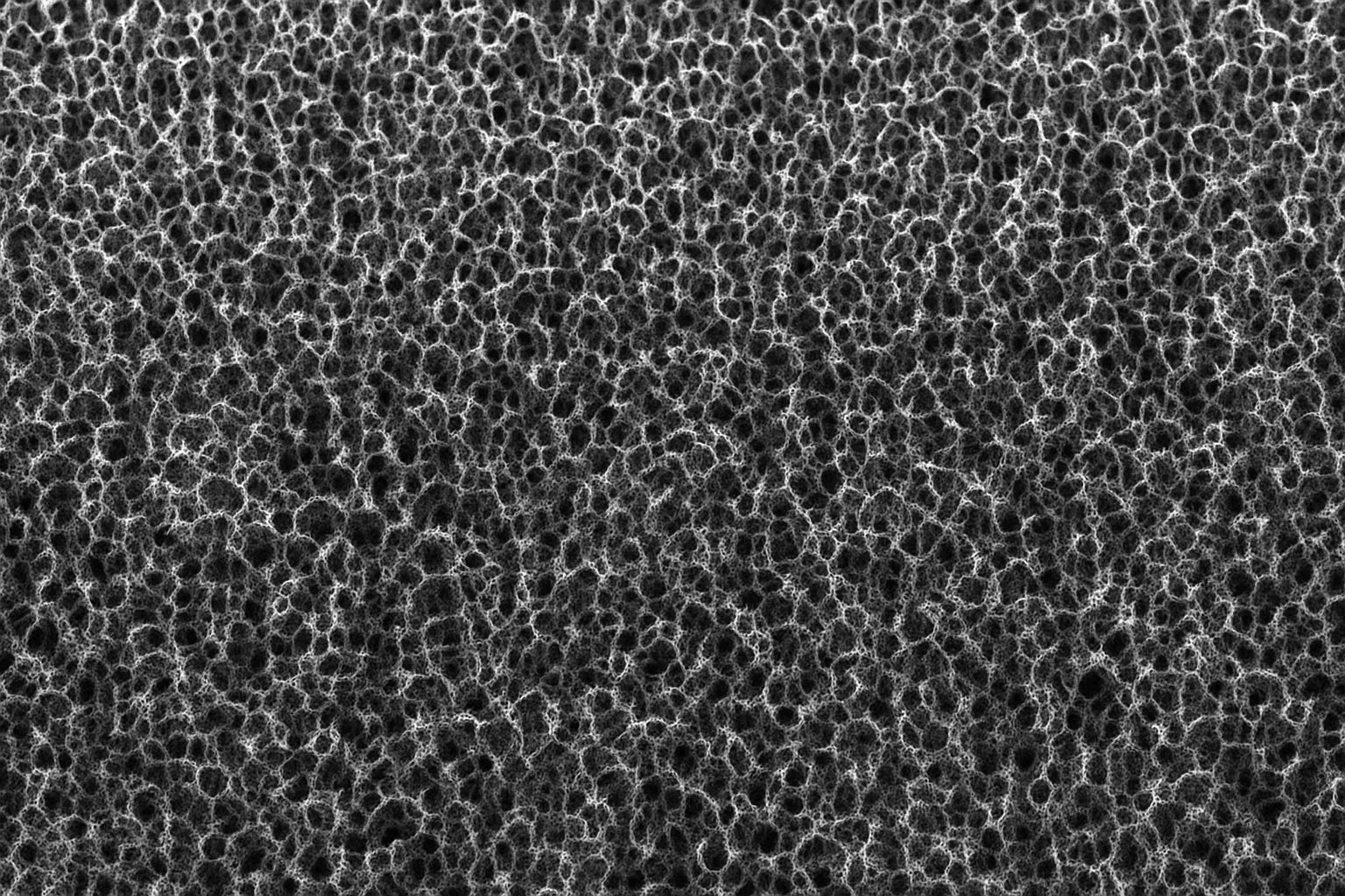 Cell Lab porous iron foam (300 × 200 × 3 mm) – high-porosity, conductive iron substrate for catalysis, hydrogen evolution, and electrochemical research. Durable, scalable, and cost-effective for lab and pilot use.