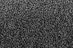 Cell Lab porous iron foam (300 × 200 × 3 mm) – high-porosity, conductive iron substrate for catalysis, hydrogen evolution, and electrochemical research. Durable, scalable, and cost-effective for lab and pilot use.