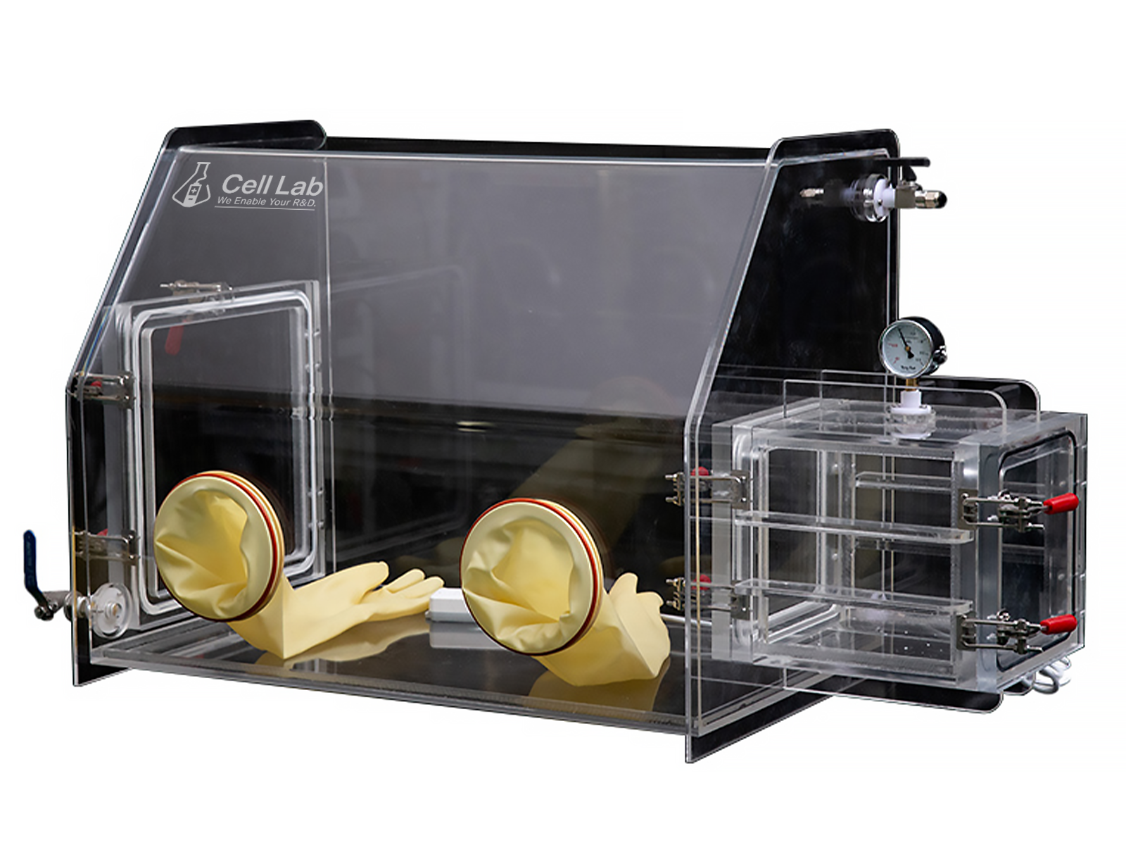 Cell Lab acrylic glove box with transfer chamber provides a low-oxygen and low-moisture environment for safe laboratory chemical handling. Transparent PMMA construction  ideal for teaching and research applications.