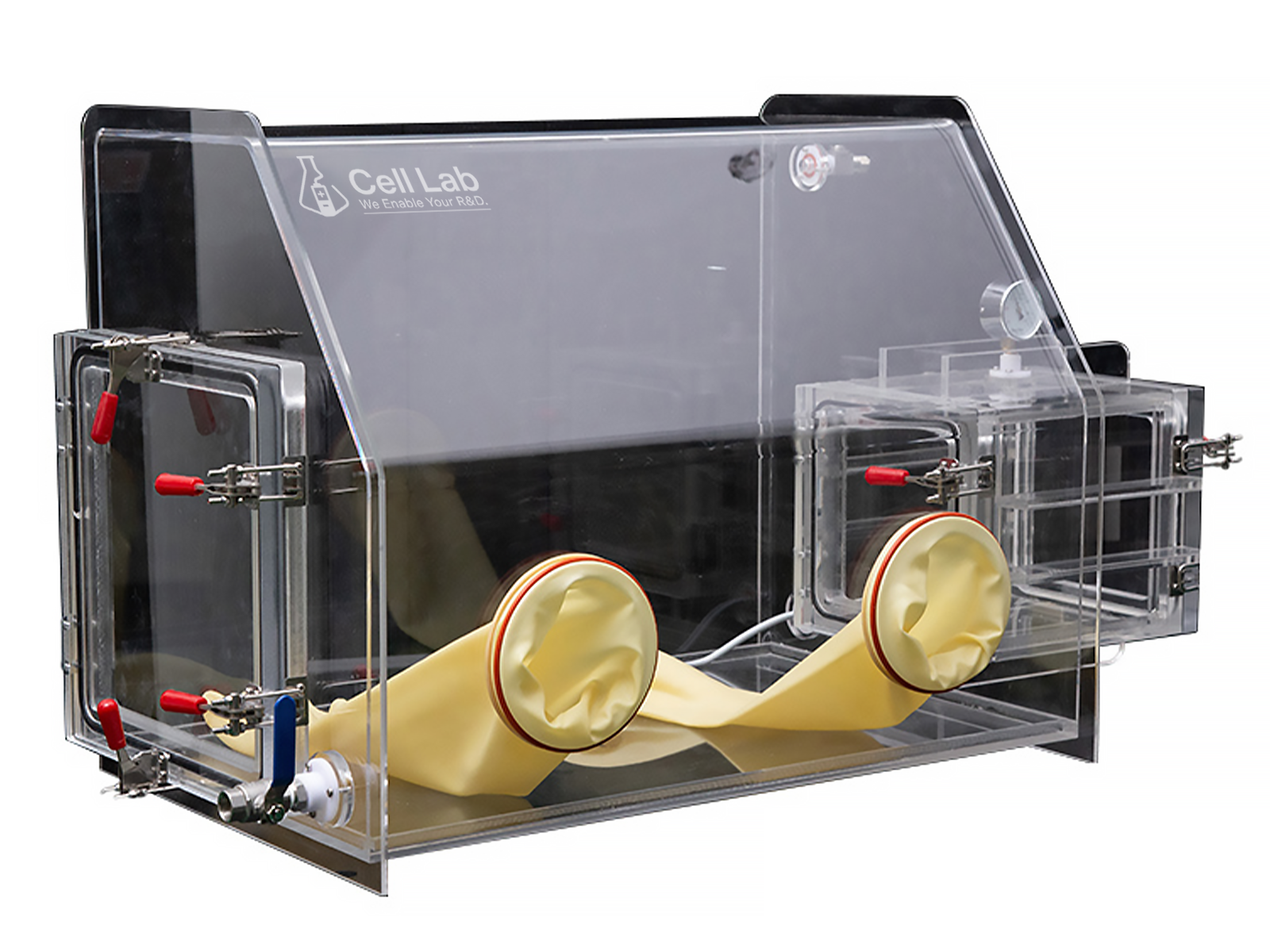 Cell Lab acrylic glove box with transfer chamber provides a low-oxygen and low-moisture environment for safe laboratory chemical handling. Transparent PMMA construction  ideal for teaching and research applications.